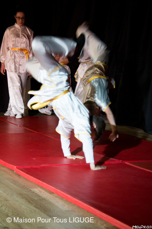 Wushu (Kung Fu) débutant(e)