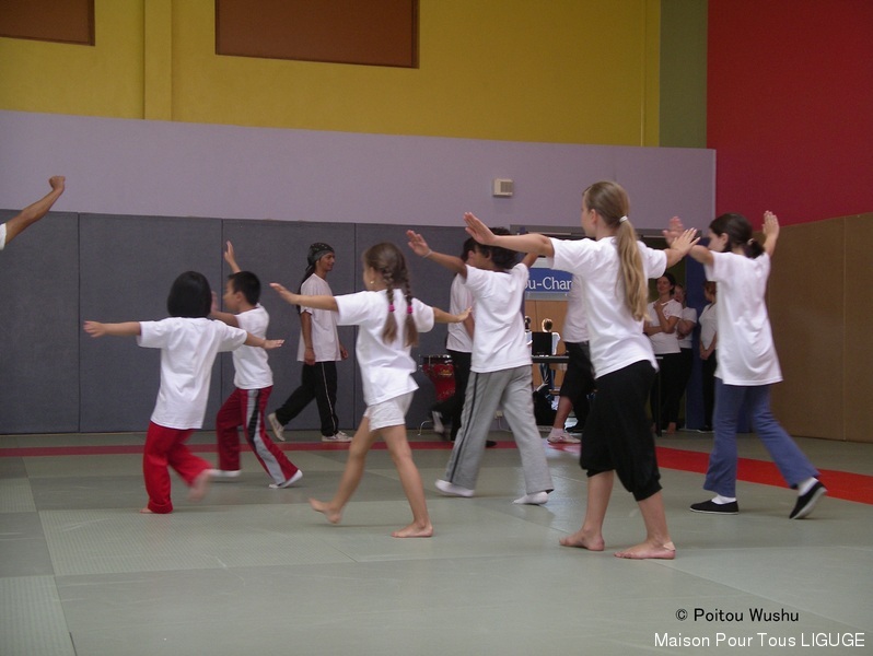 Wushu (Kung fu)